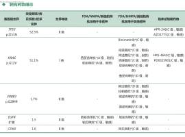 结肠癌肺转移患者的基因检测与治疗方案