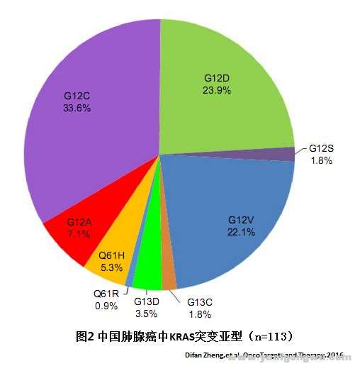 KRAS突变非小细胞2.jpg