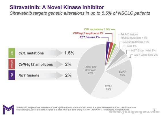 Sitravatinib2.jpg